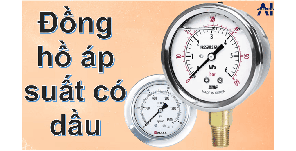 Đồng hồ áp suất có dầu 1