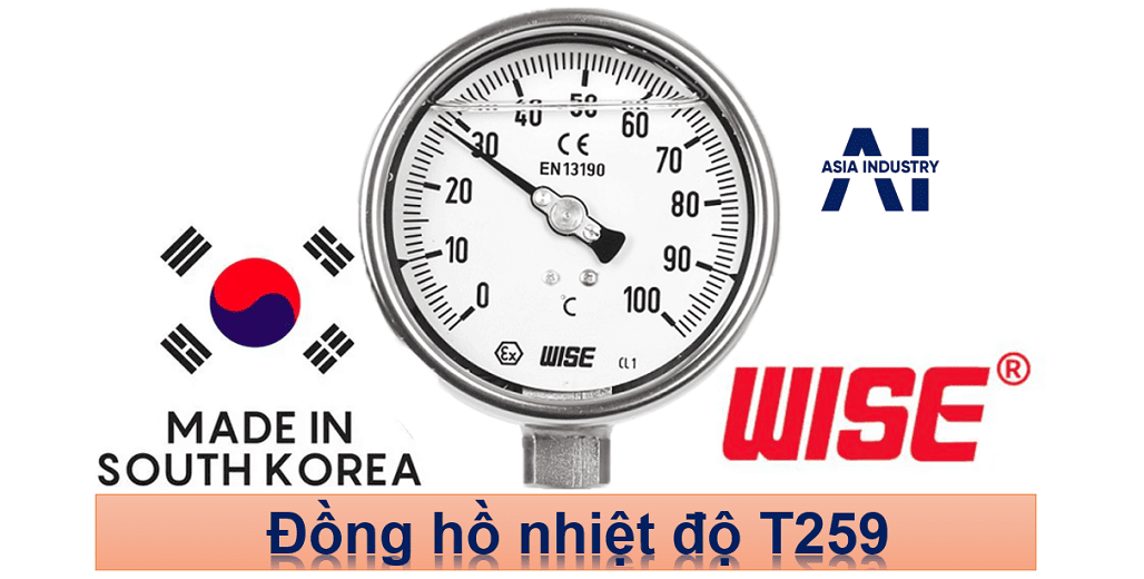 Đồng hồ nhiệt độ T259 1